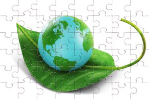 Пазлы на Всероссийский урок Экология и энергосбережение