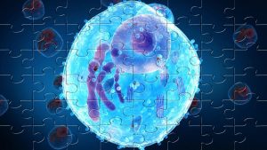 Пазлы Цитология – наука о клетке - конспект урока биологии