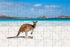 Пазлы Поиски Южной Земли - открытие Австралии