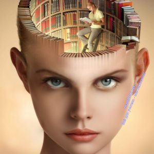 мозг, книги, знания