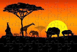 Пазлы Африка. История открытия - конспект урока