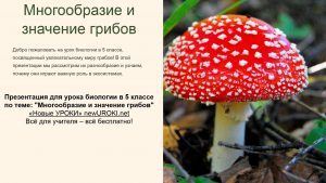 Презентация Многообразие и значение грибов - конспект урока биологии