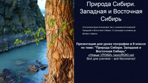 Презентация Природа Сибири. Западная и Восточная Сибирь - конспект урока географии