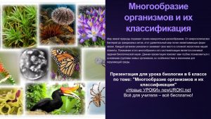 Презентация Многообразие организмов - конспект урока