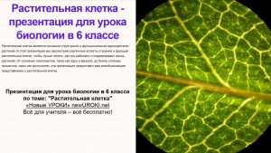 Презентация Растительная клетка - конспект урока