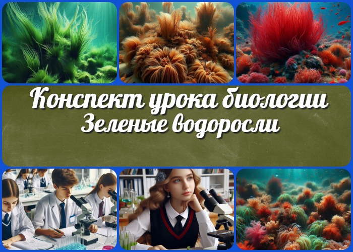 Зеленые водоросли - конспект урока биологии