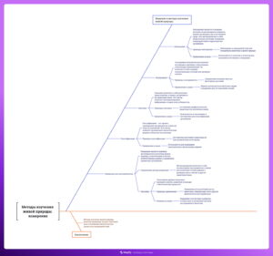 Ментальная карта (интеллект-карта, mind map) Методы изучения живой природы: измерение - конспект урока