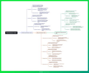 Ментальная карта (интеллект-карта, mind map) Растительные ткани - конспект урока