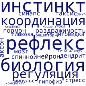 Облако слов Координация и регуляция - конспект урока