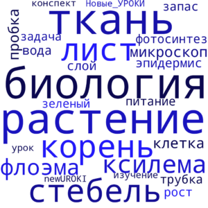 Облако слов Растительные ткани - конспект урока