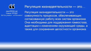 Регуляция жизнедеятельности — это