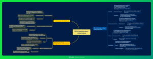 Ментальная карта (интеллект-карта, mind map) Жгутиконосцы и инфузории - конспект урока биологии