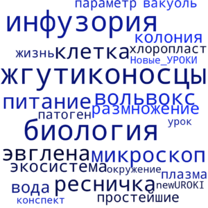 Облако слов Жгутиконосцы и инфузории - конспект урока биологии