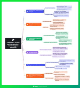 Ментальная карта (интеллект-карта, mind map) Бактерии и вирусы как форма жизни - конспект урока