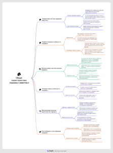 Ментальная карта (интеллект-карта, mind map) Характеристика хордовых - конспект урока