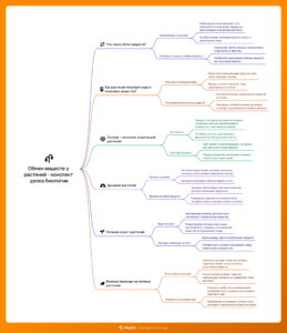 Ментальная карта (интеллект-карта, mind map) Обмен веществ у растений - конспект урока