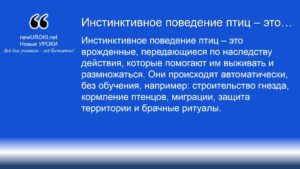 Инстинктивное поведение птиц – это