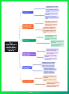 Ментальная карта (интеллект-карта, mind map) Общая характеристика млекопитающих - конспект урока