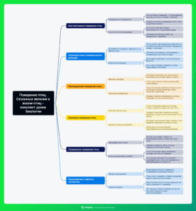 Ментальная карта (интеллект-карта, mind map) Поведение птиц - конспект урока