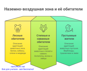 Инфографика: Наземно-воздушная зона и её обитатели