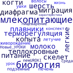 Облако слов Общая характеристика млекопитающих - конспект урока