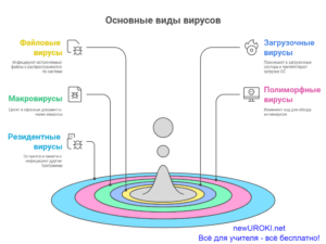 Инфографика: Основные виды вирусов