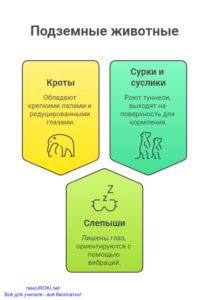 Инфографика: Подземные животные