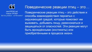 Поведенческие реакции птиц – это