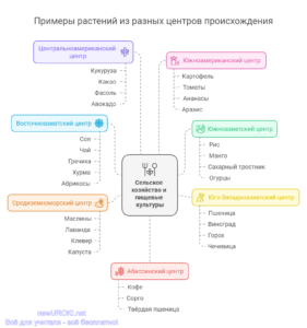 Инфографика: Примеры растений из разных центров происхождения