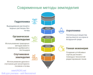 Инфографика: Современные методы земледелия