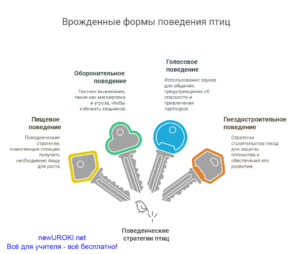 Инфографика: Врожденные формы поведения птиц