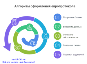 Инфографика: Алгоритм оформления европротокола