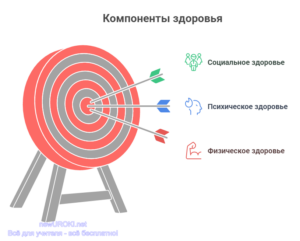 Инфографика: Компоненты здоровья