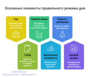 Инфографика: Основные элементы правильного режима дня