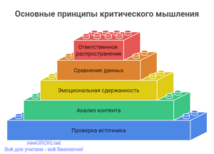 Инфографика: Основные принципы критического мышления