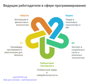 Инфографика: Ведущие работодатели в сфере программирования