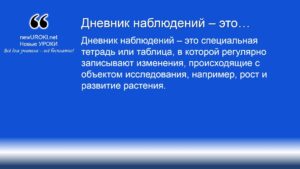 Дневник наблюдений – это Дневник наблюдений – это