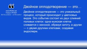 Двойное оплодотворение — это Двойное оплодотворение — это
