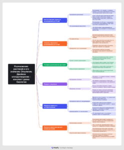 Ментальная карта (интеллект-карта, mind map) Размножение растений - конспект урока Ментальная карта (интеллект-карта, mind map) Размножение растений - конспект урока