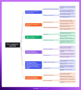 Ментальная карта (интеллект-карта, mind map) Рост и развитие растения - конспект урока биологии Ментальная карта (интеллект-карта, mind map) Рост и развитие растения - конспект урока биологии
