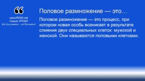 Половое размножение — это Половое размножение — это