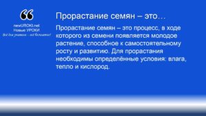 Прорастание семян – это Прорастание семян – это