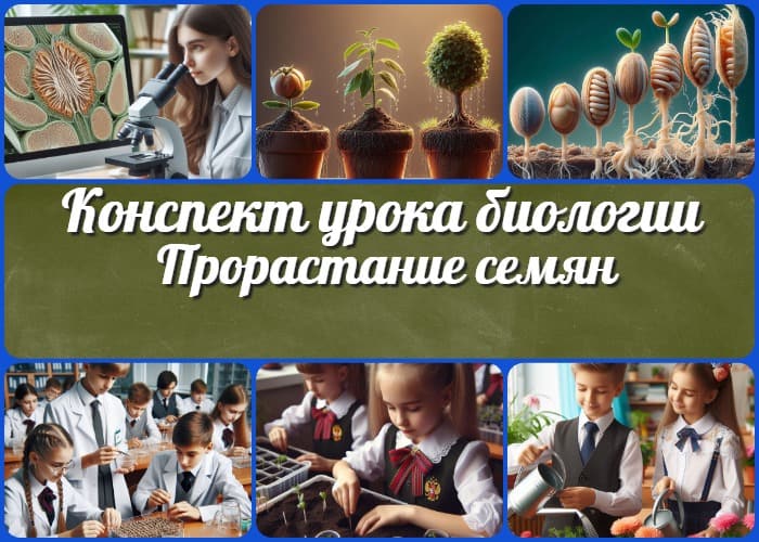 Прорастание семян - конспект урока биологии