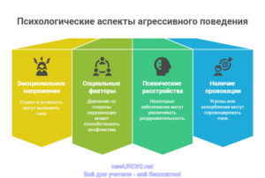 Инфографика: Психологические аспекты агрессивного поведения