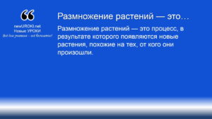 Размножение растений — это Размножение растений — это