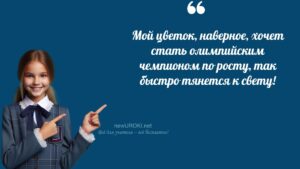 Ученики шутят Рост и развитие растения - конспект урока биологии Ученики шутят Рост и развитие растения - конспект урока биологии
