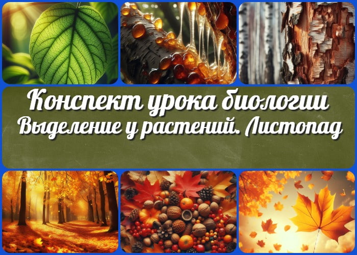 Выделение у растений. Листопад - конспект урока биологии