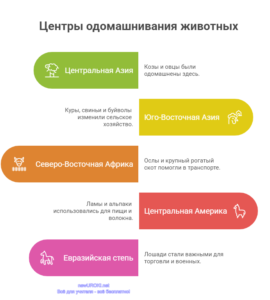Инфографика: Центры одомашнивания животных Инфографика: Центры одомашнивания животных