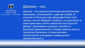 Дрожжи – это Дрожжи – это