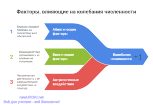 Инфографика: Факторы влияющие на колебания численности Инфографика: Факторы влияющие на колебания численности